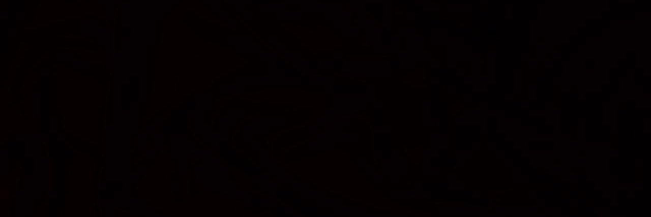 BotCerberus's profile banner image