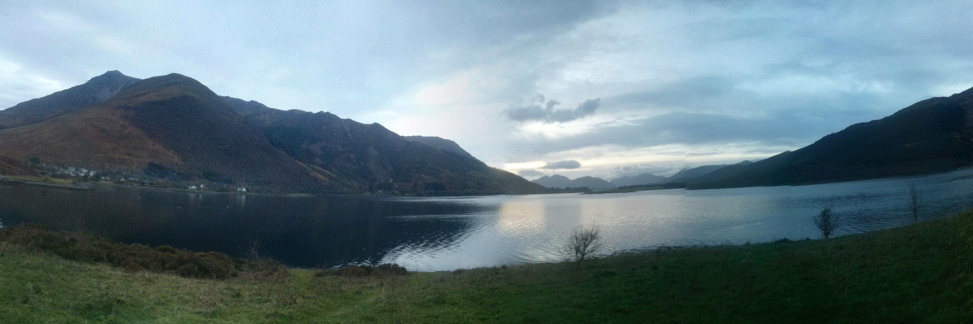 Callum Macdonald banner