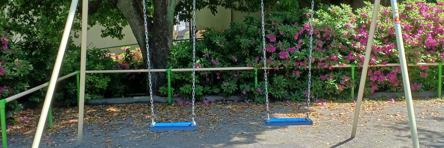 zenkanashi's profile banner image