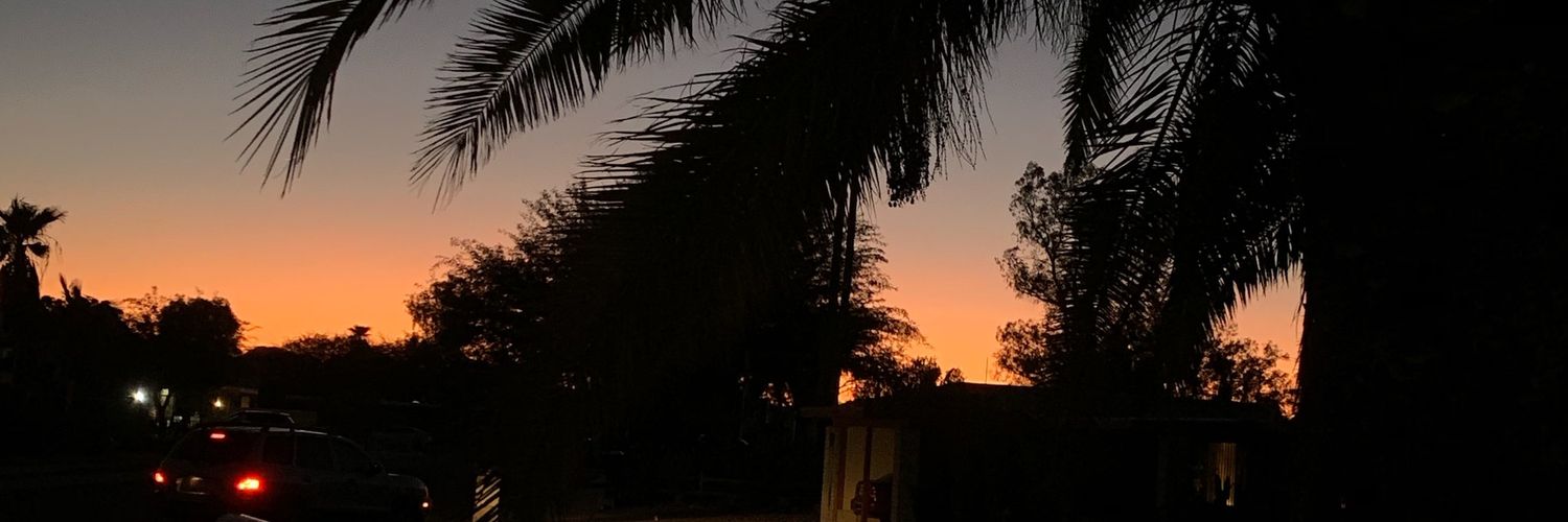 reginasweeney's profile banner image