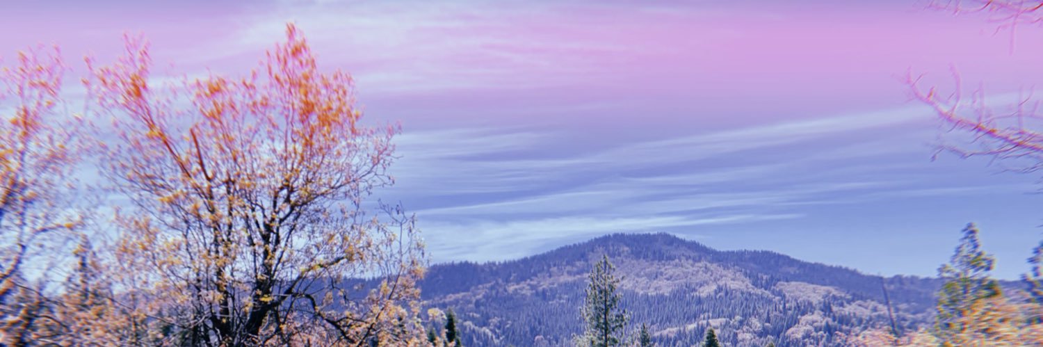 berna_fett's profile banner image