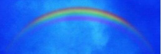 s_shumu's profile banner image