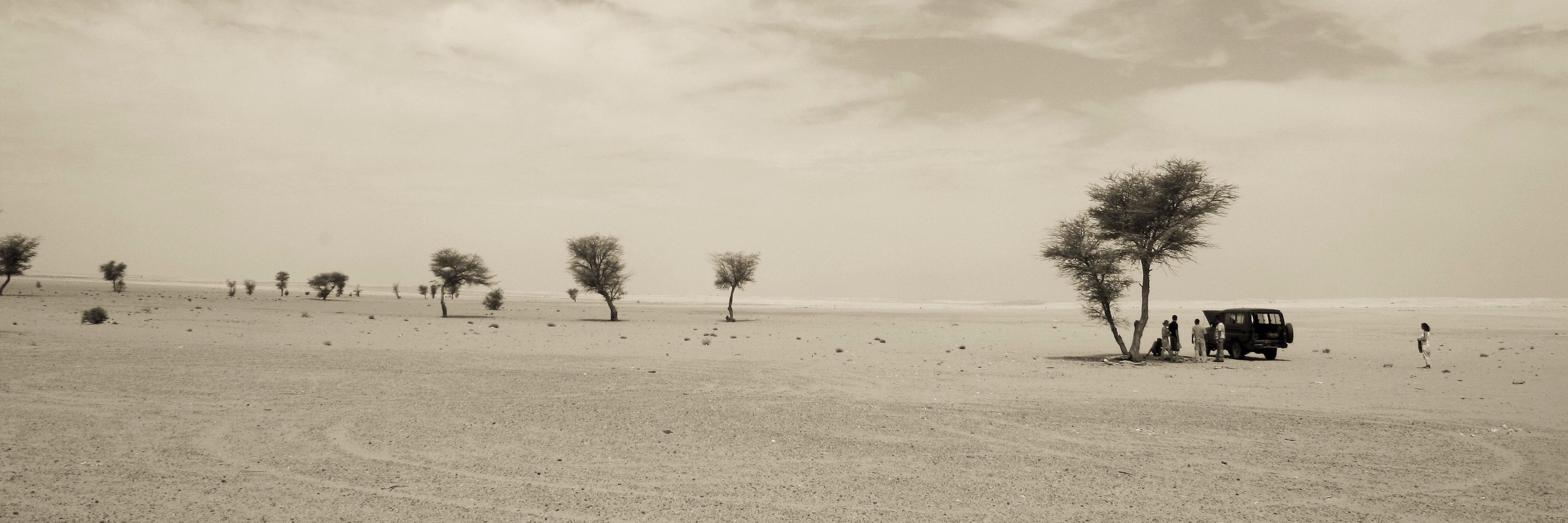 TheAktasReport's profile banner image