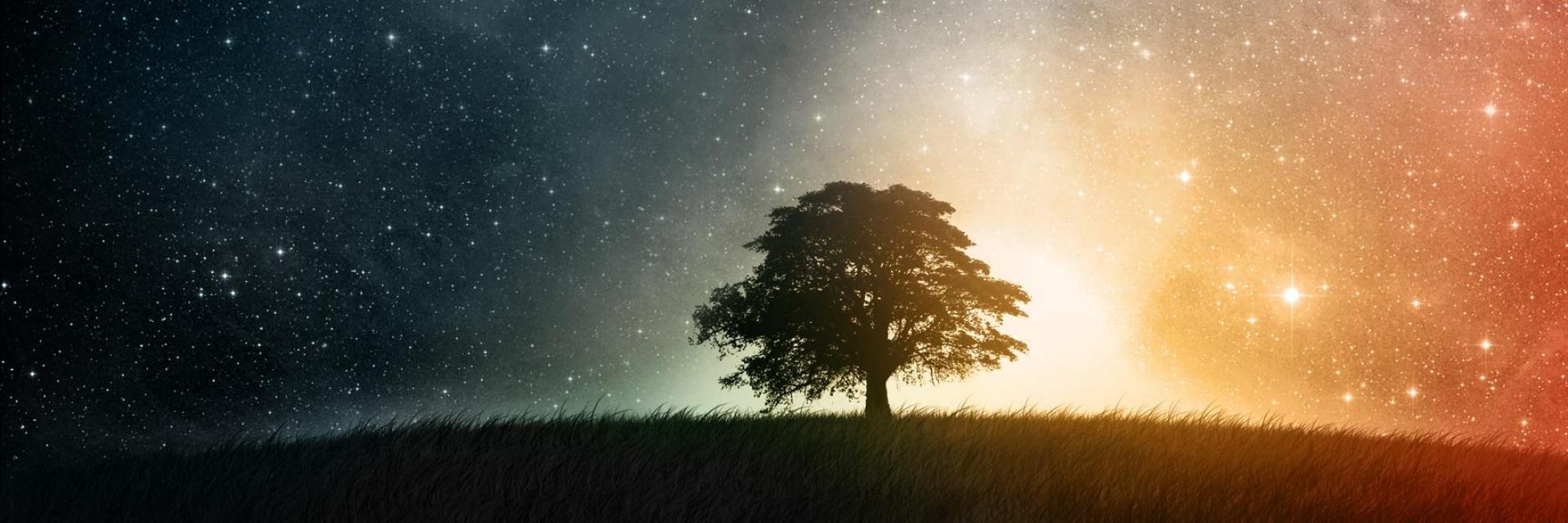 On2Space's profile banner image