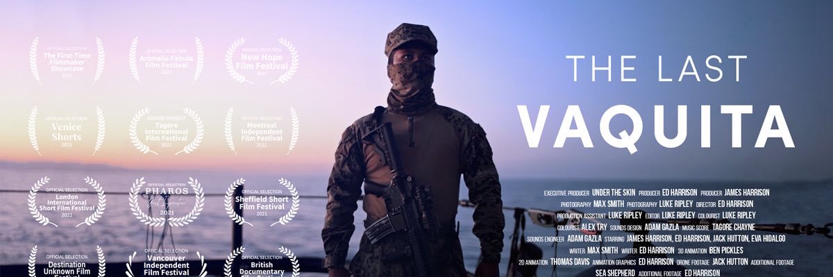 Under The Skin banner