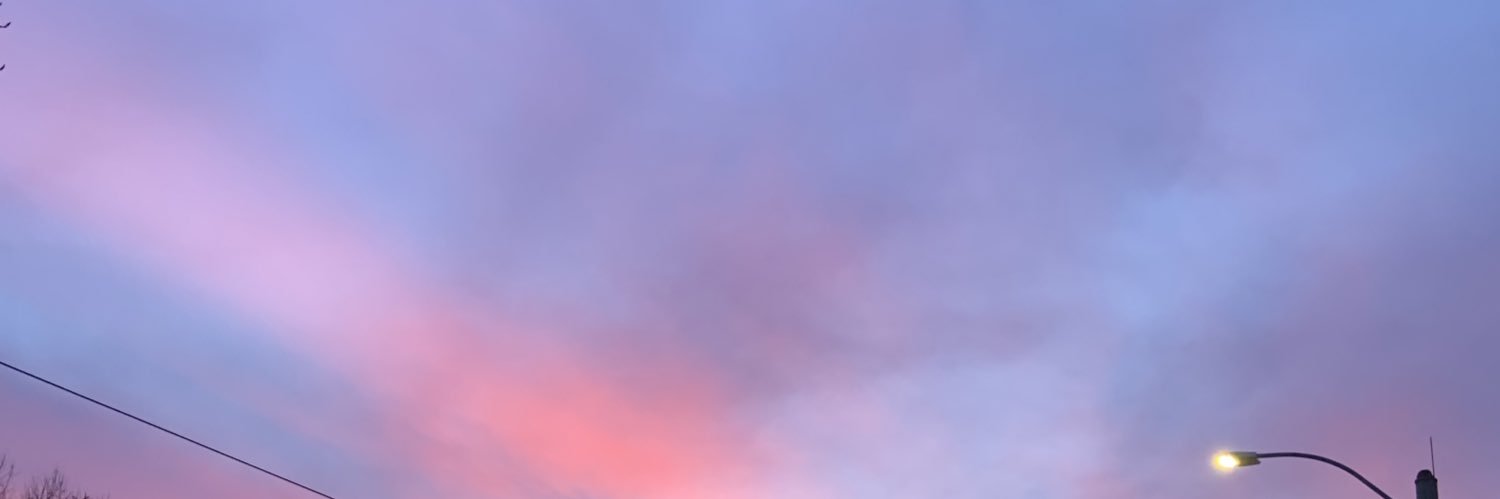 prstidlera's profile banner image
