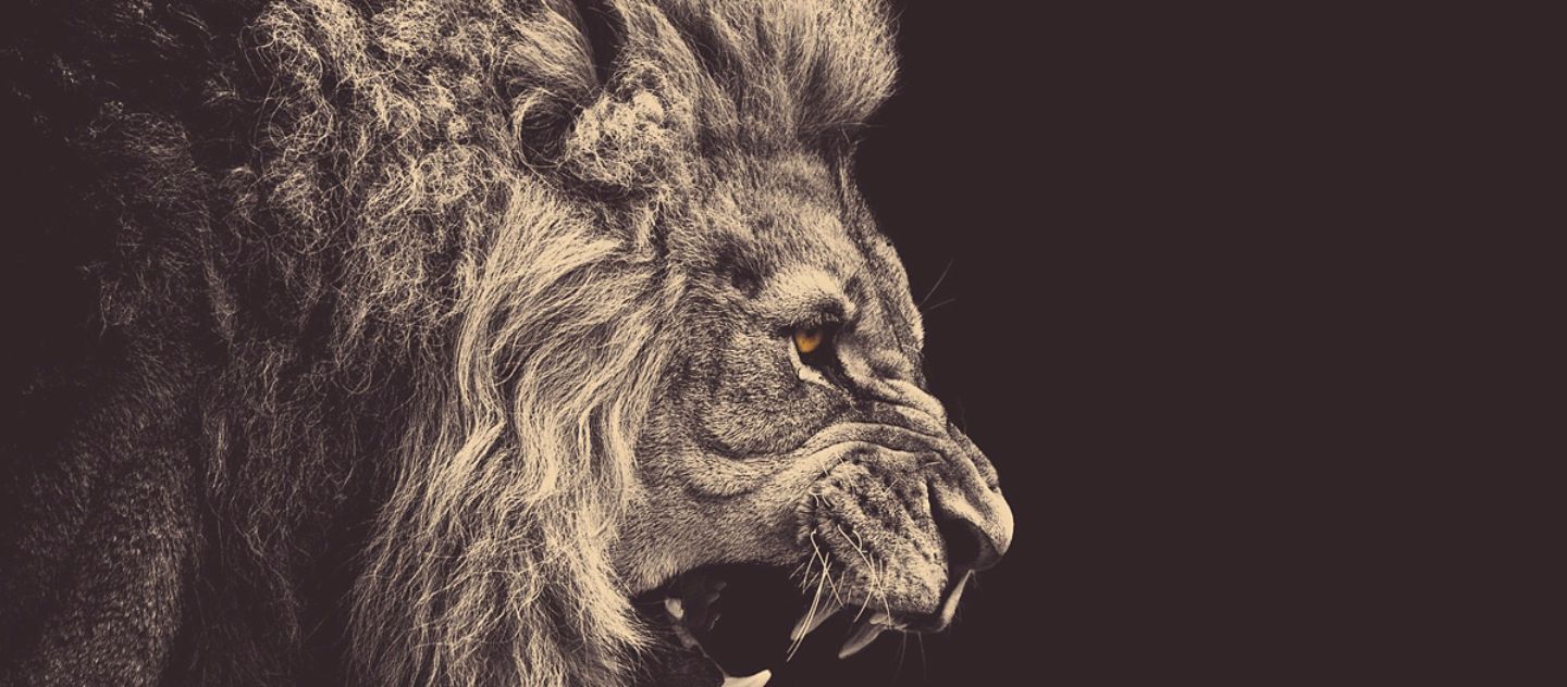 boshow10's profile banner image