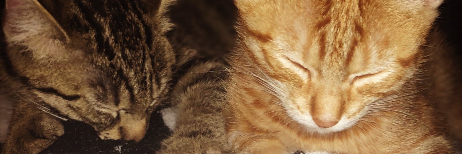 releaseY's profile banner image
