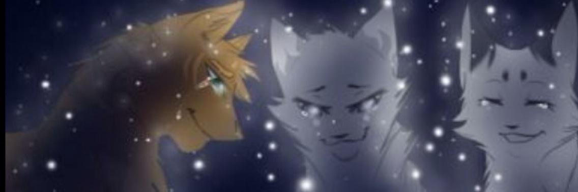 _Bluejay__'s profile banner image