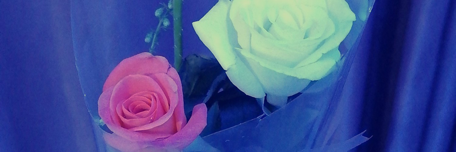 mely_evry's profile banner image