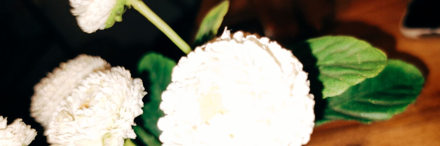 apayapeh's profile banner image