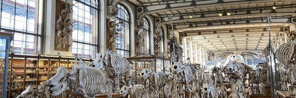 adtgho Profile Banner