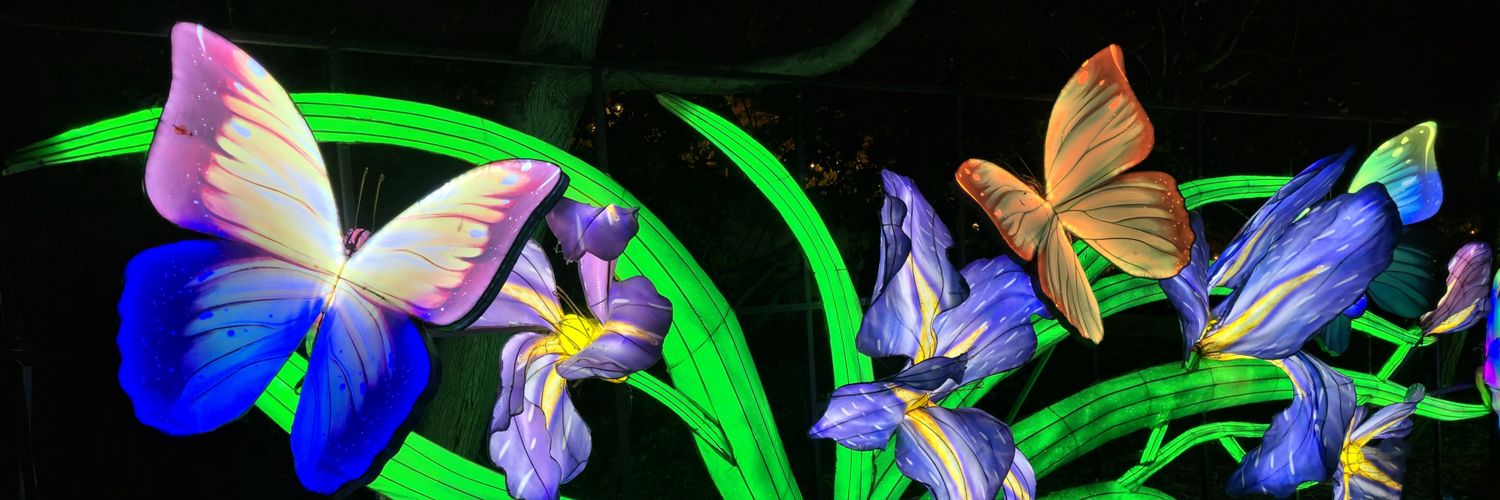 ButterflyMomE's profile banner image
