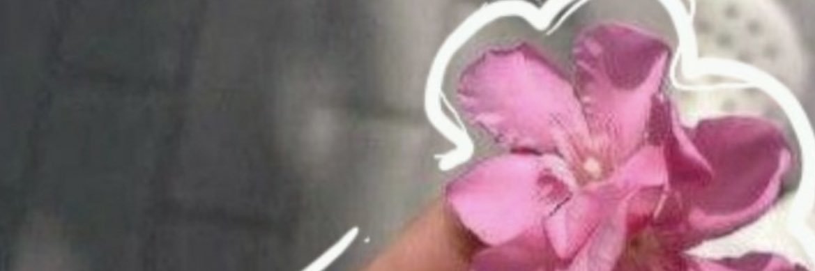 Liz Vargas banner