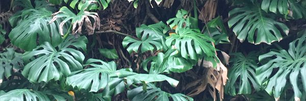 ReillyDow Profile Banner