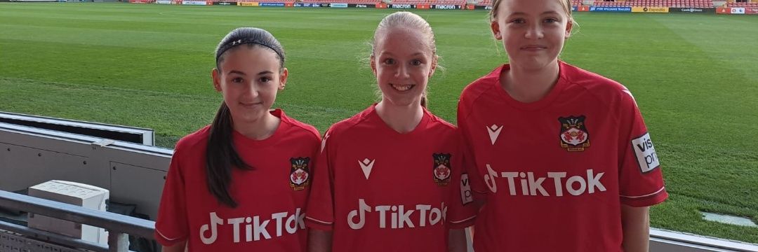 Welshbird04's profile banner image