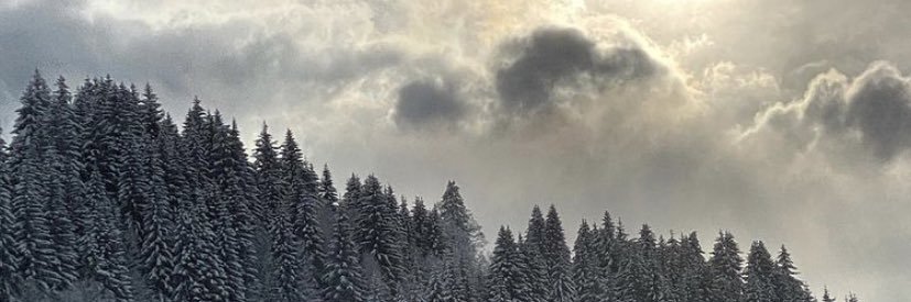 dessyfoo's profile banner image