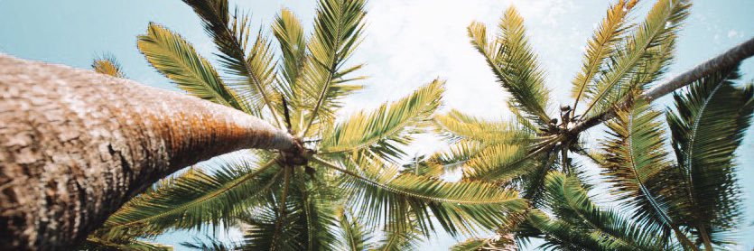 breezybee__'s profile banner image