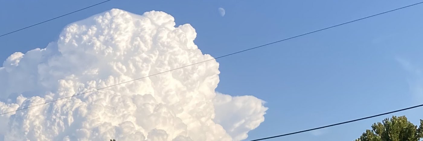 chrissy_bear_'s profile banner image