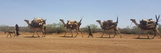 Khalif Abdikadir banner