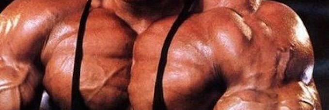 quicksteroids's profile banner image