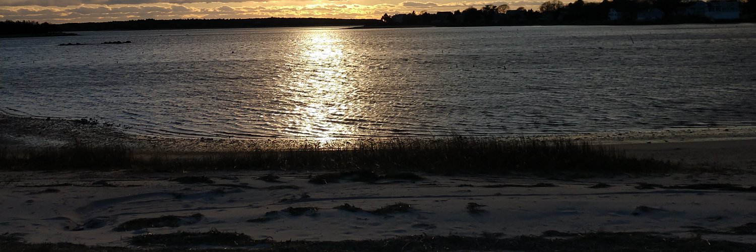 vaseholder's profile banner image