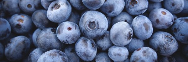 SaSpotters Profile Banner