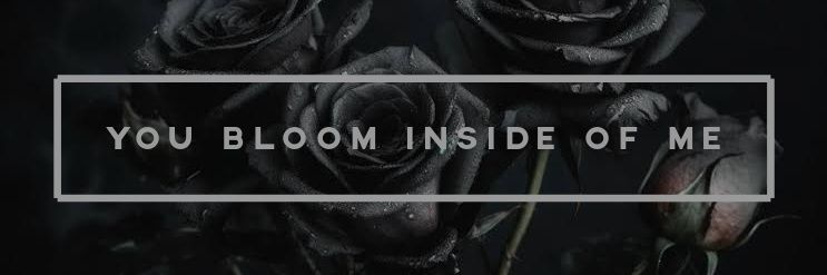 🩶ε٩(๑• ₃ •)۶з🩶 banner