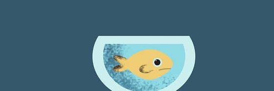 GoldfishAndRush's profile banner image