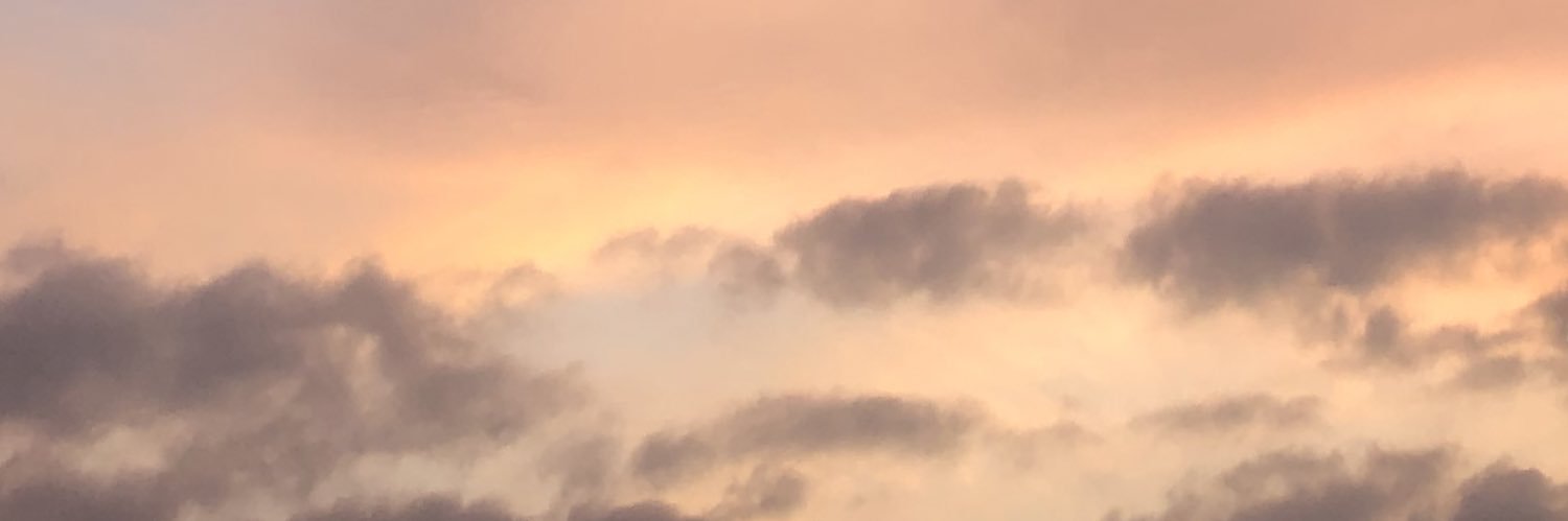 hodgexo's profile banner image