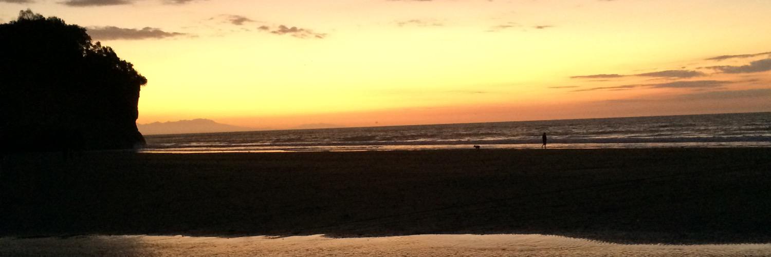 candiesff's profile banner image