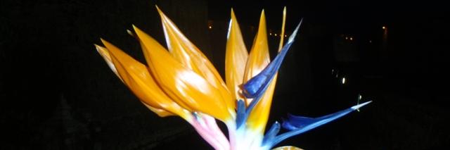 LucenaMar's profile banner image