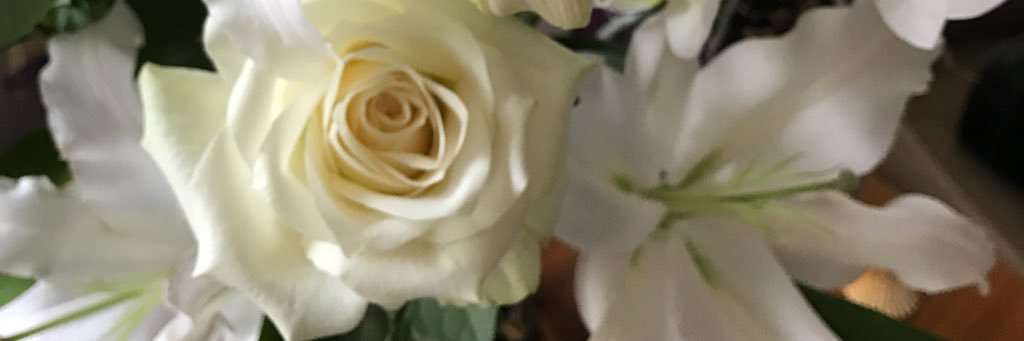 NazanBicer's profile banner image