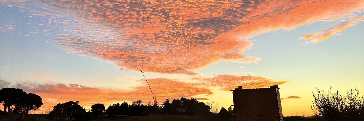 Estelajaarque's profile banner image