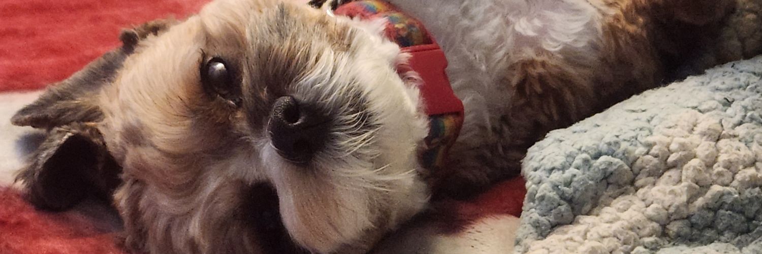 chuckchick15's profile banner image