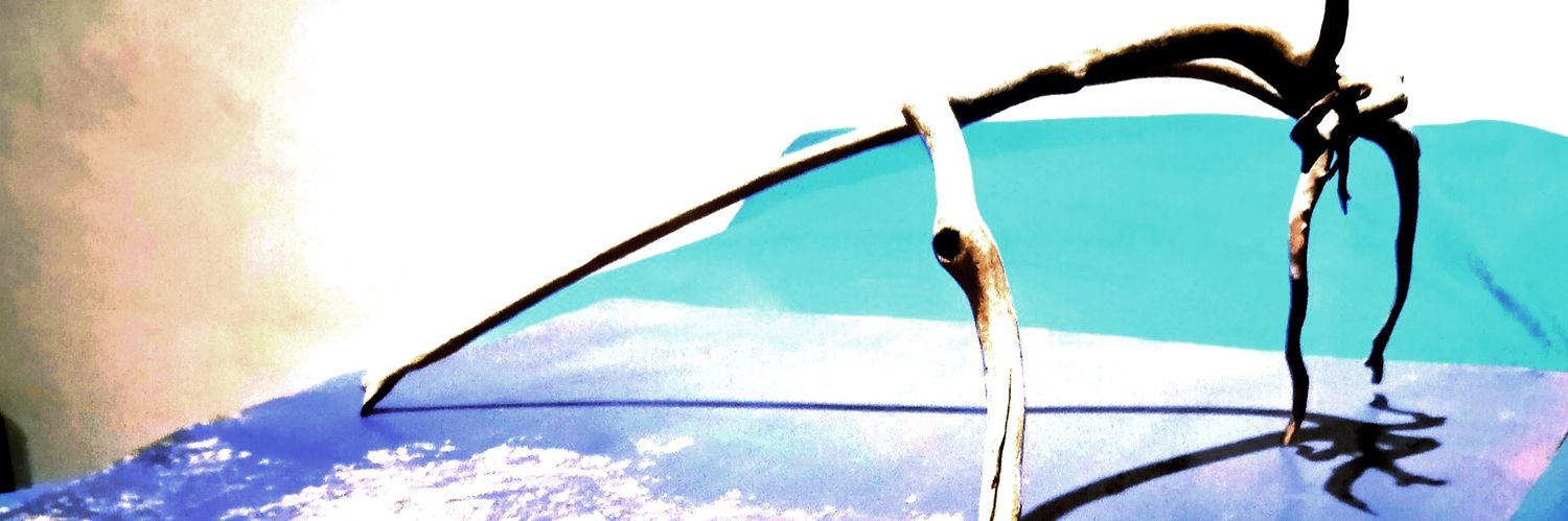 arroceandoando's profile banner image