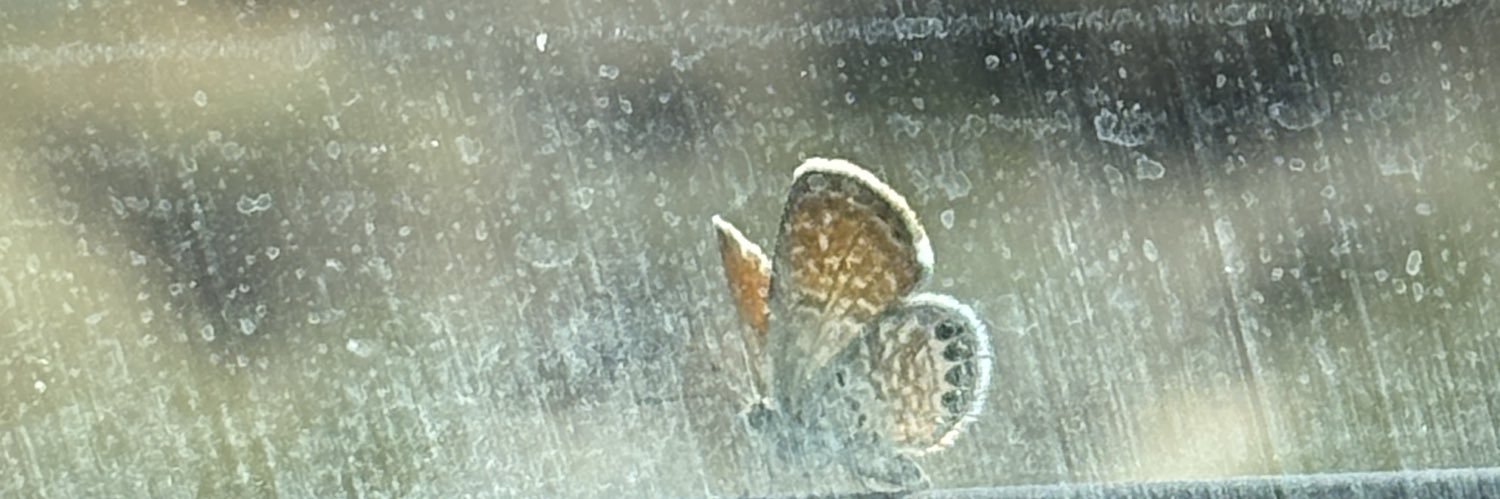 mmiiinnaaaa's profile banner image