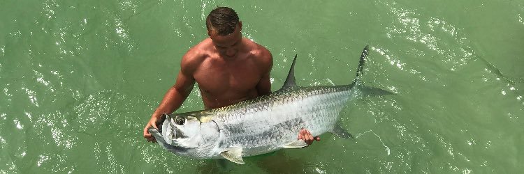 devinmeyer_'s profile banner image