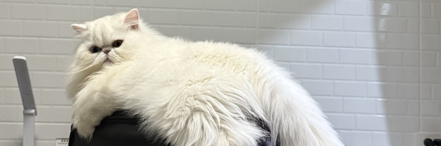 mile_milo's profile banner image