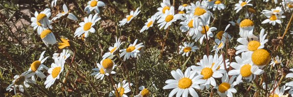 IsaHell_ Profile Banner