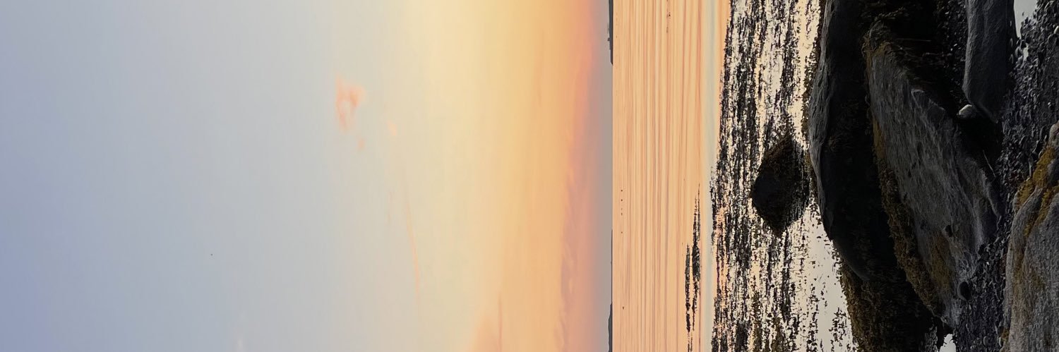 CCP_Ninja's profile banner image