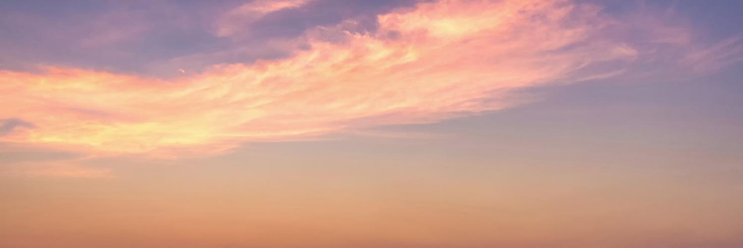 MonishaVasa's profile banner image