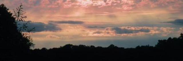 Didzenak's profile banner image
