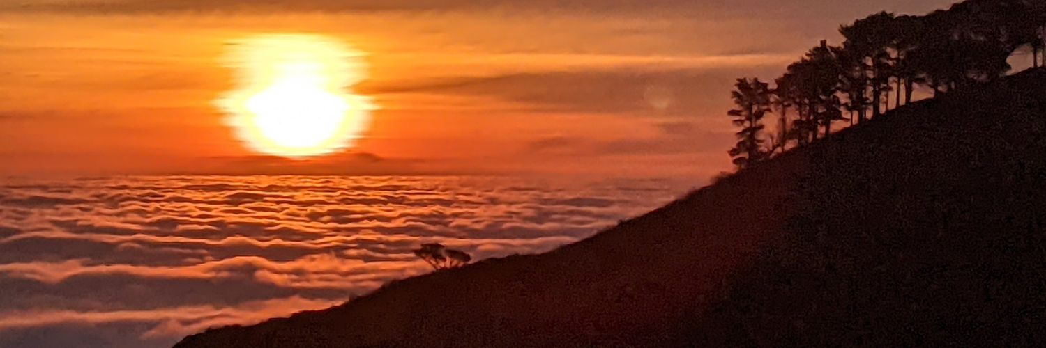 ANYINC's profile banner image