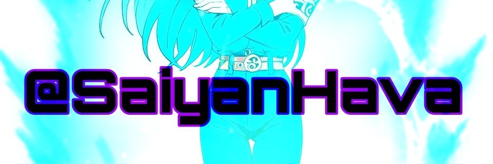 SaiyanHava's profile banner image