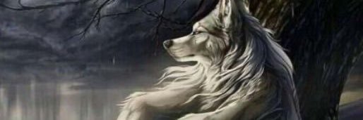 ‎ؘ banner