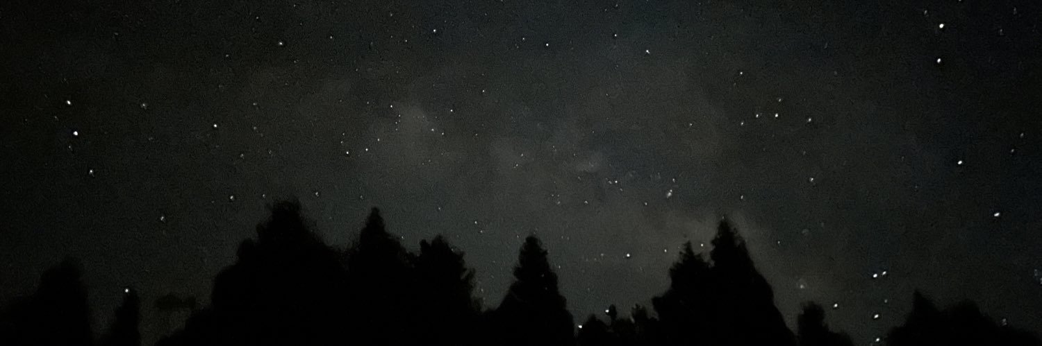 amirmalaeb's profile banner image