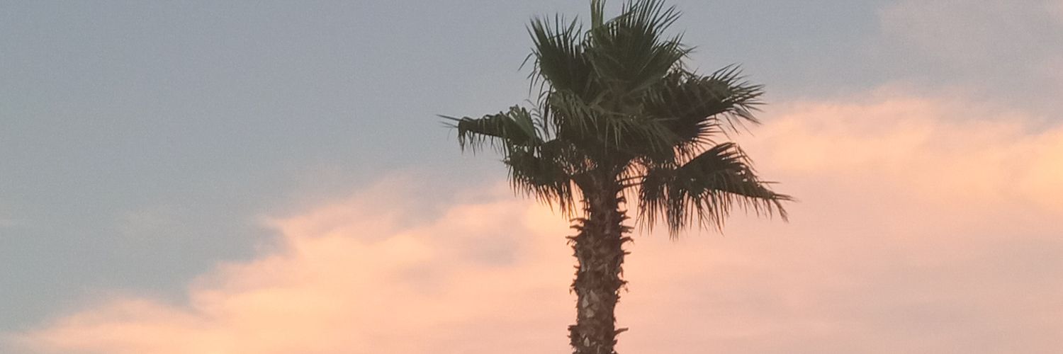 mr_zuno's profile banner image