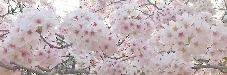 ngtkimk39's profile banner image