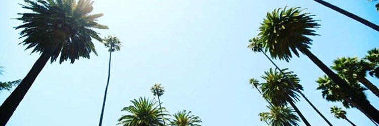 fannythrnquist's profile banner image